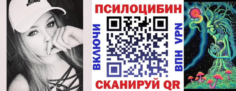 Псилоцибиновые грибы мицелий Купить Трубчевск